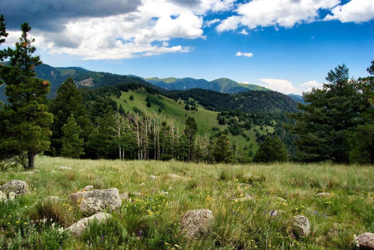 Tiny Two, 2 Bedrooms, Midtown, Sleeps 4 Ruidoso Extérieur photo